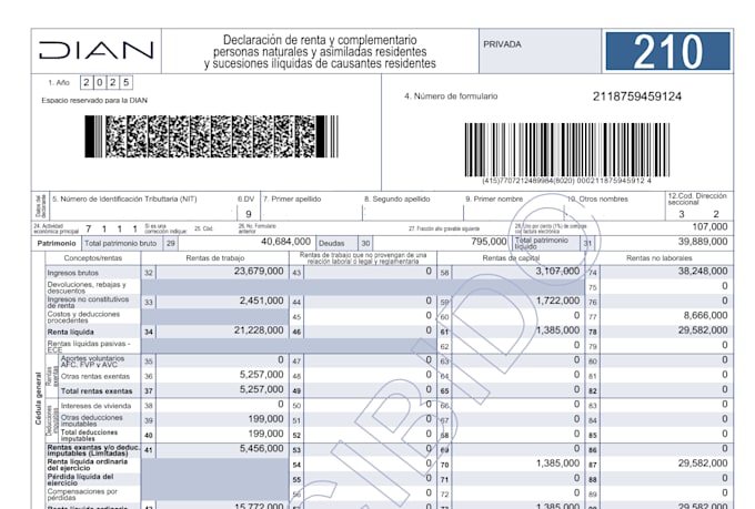 help you file taxes in colombia